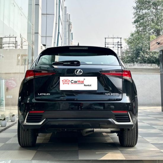 LEXUS NX 300 LEXUS NX 300 HYBRID 