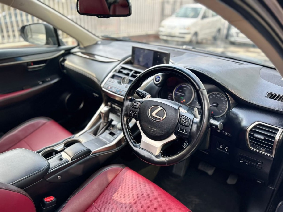 LEXUS NX 300 LEXUS NX 300 HYBRID 